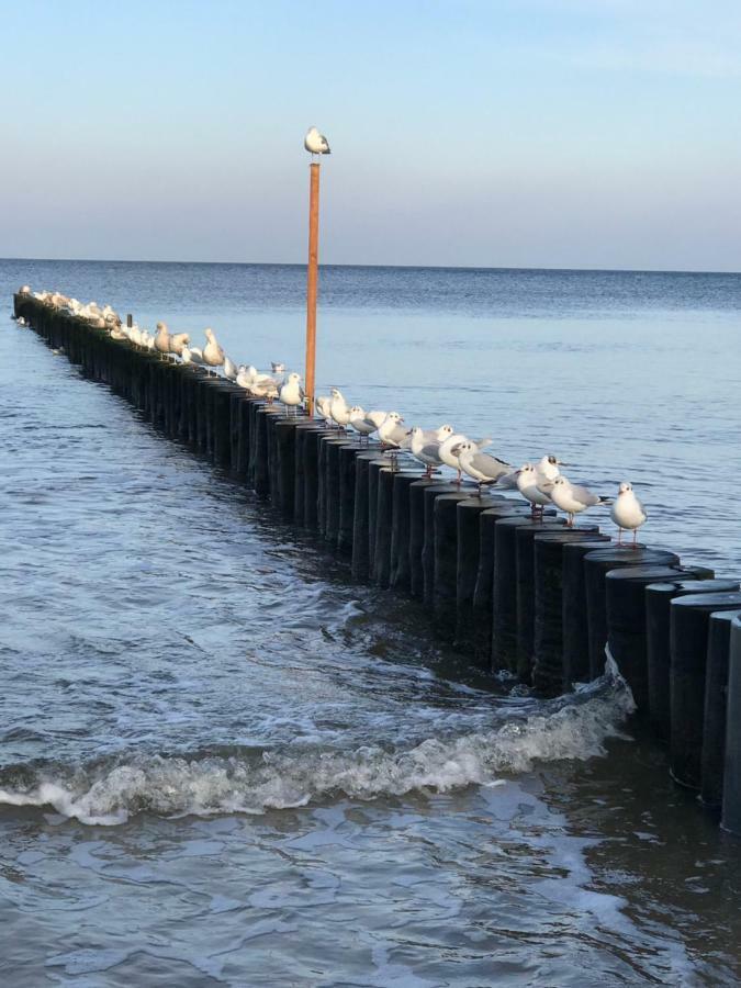 Apartament „Nova Polana” Kołobrzeg Polanki Park Zewnętrze zdjęcie